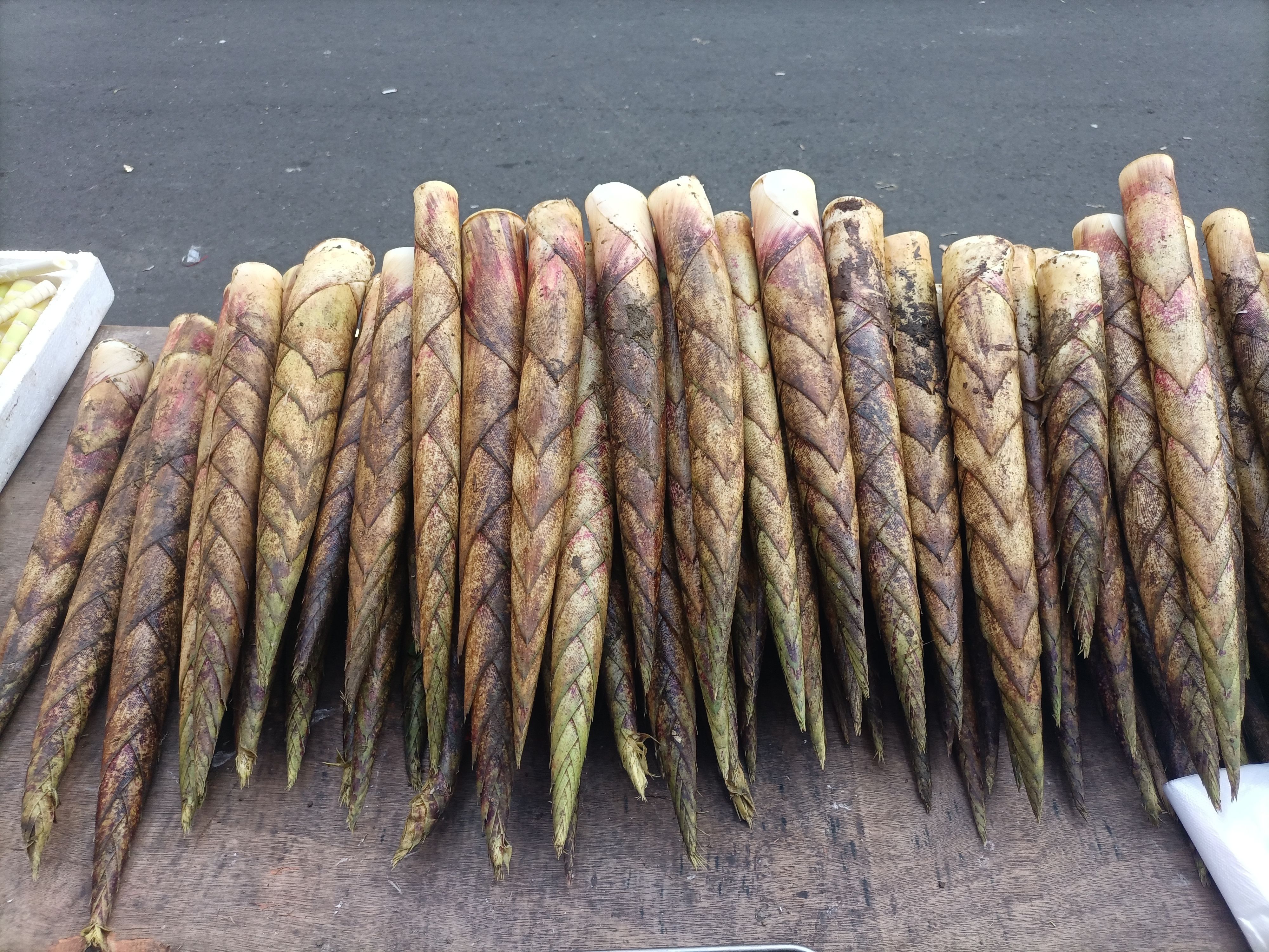  牛尾笋 可炒 烧 凉拌