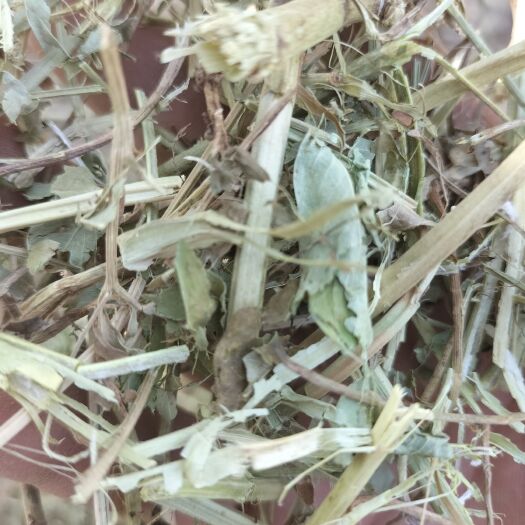 正阳县花生秧，花生秧草料，牛羊马花生秧草料