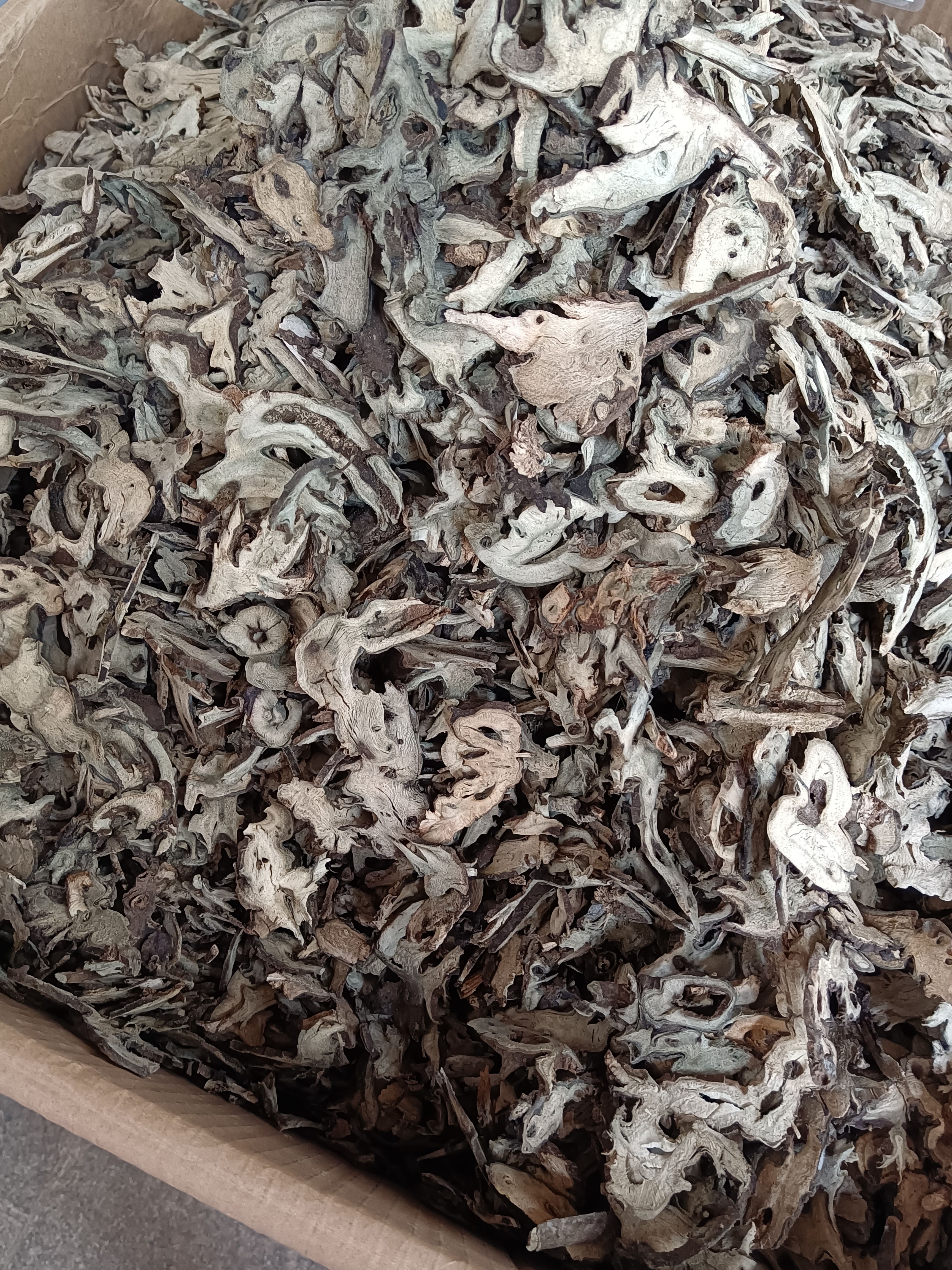 升麻材生麻 川升麻 生麻片  正量大从优统货