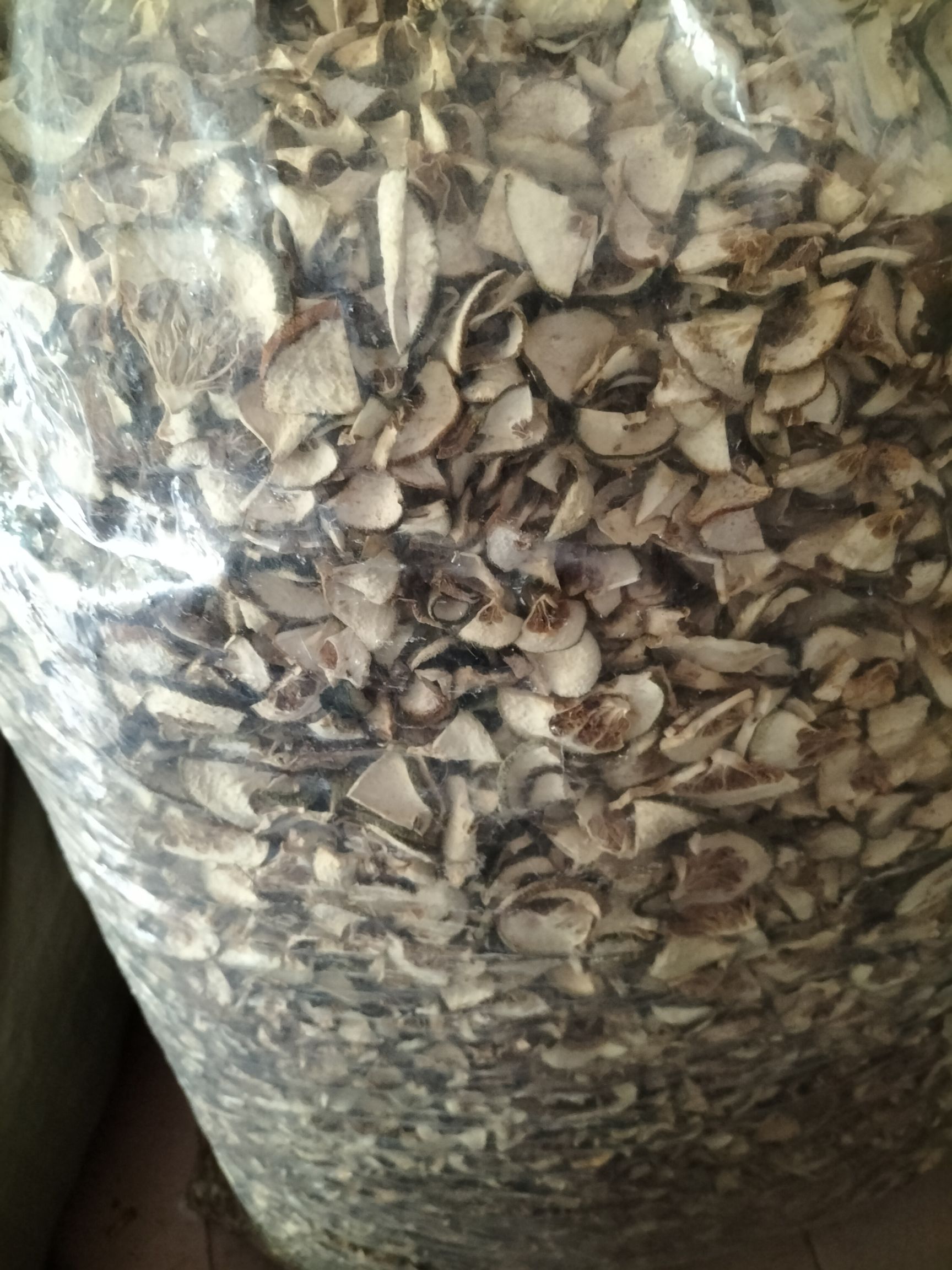 巴中中药材  天然枳壳  无硫自然晒干