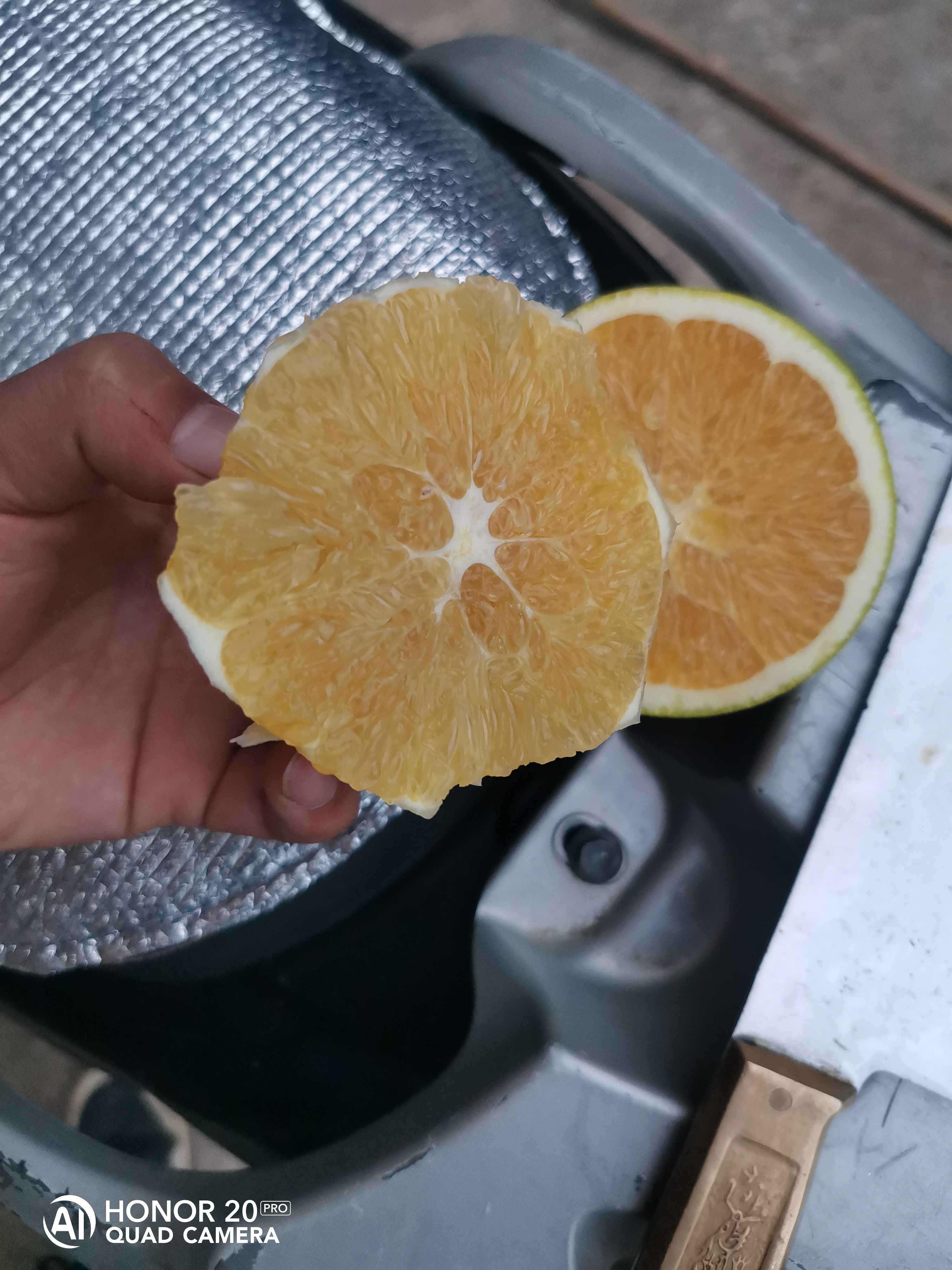 赣南脐橙98一箱二十斤包邮