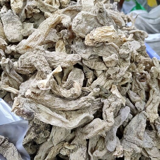 贵阳红天麻 春麻