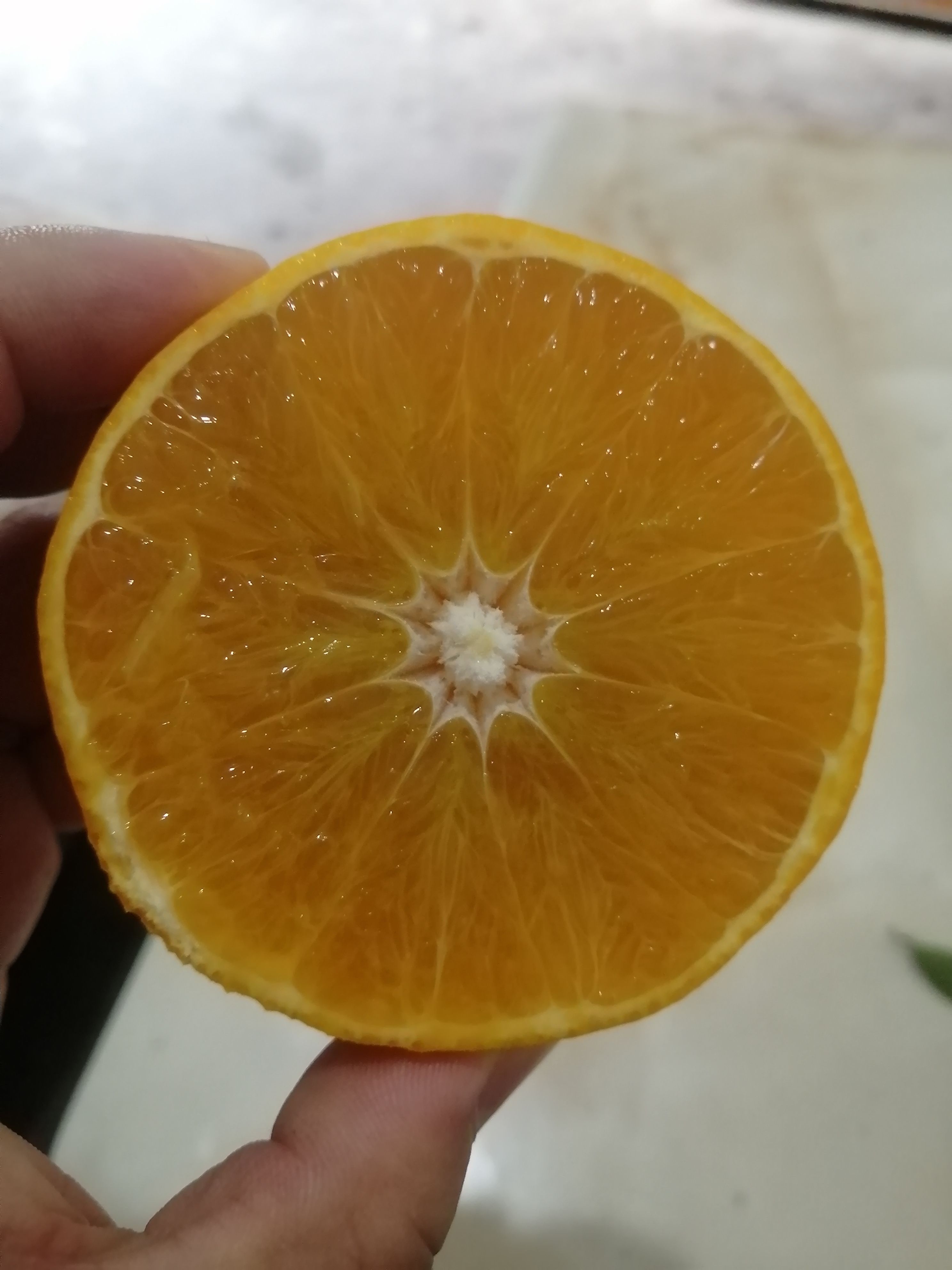 爱媛橙  爱媛38果冻橙，高山爱媛，阳光好，味道甜，皮薄如纸