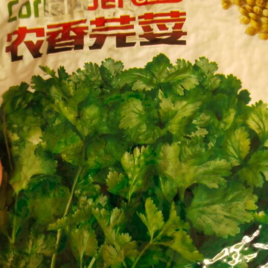 扶沟县香菜种子 种子 叶大，生长快速 抗热耐寒四季种植