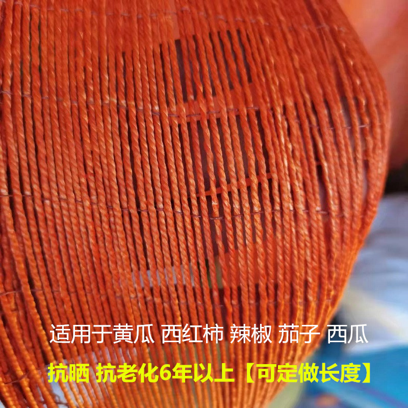 定做吊秧绳大棚吊绳黄瓜吊绳西红柿吊绳辣椒吊绳番茄轮胎线吊蔓绳