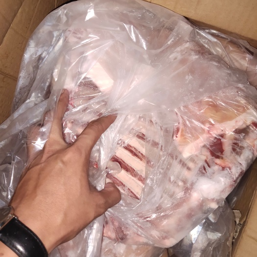 江门 带皮羊排