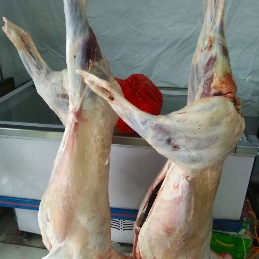 辛集市羊肉类  新鲜羊肉羊蝎子！ 羊排 ！羊腿 ！羊肉片！ 新鲜牛