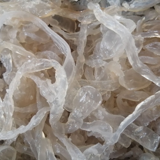 海蜇丝