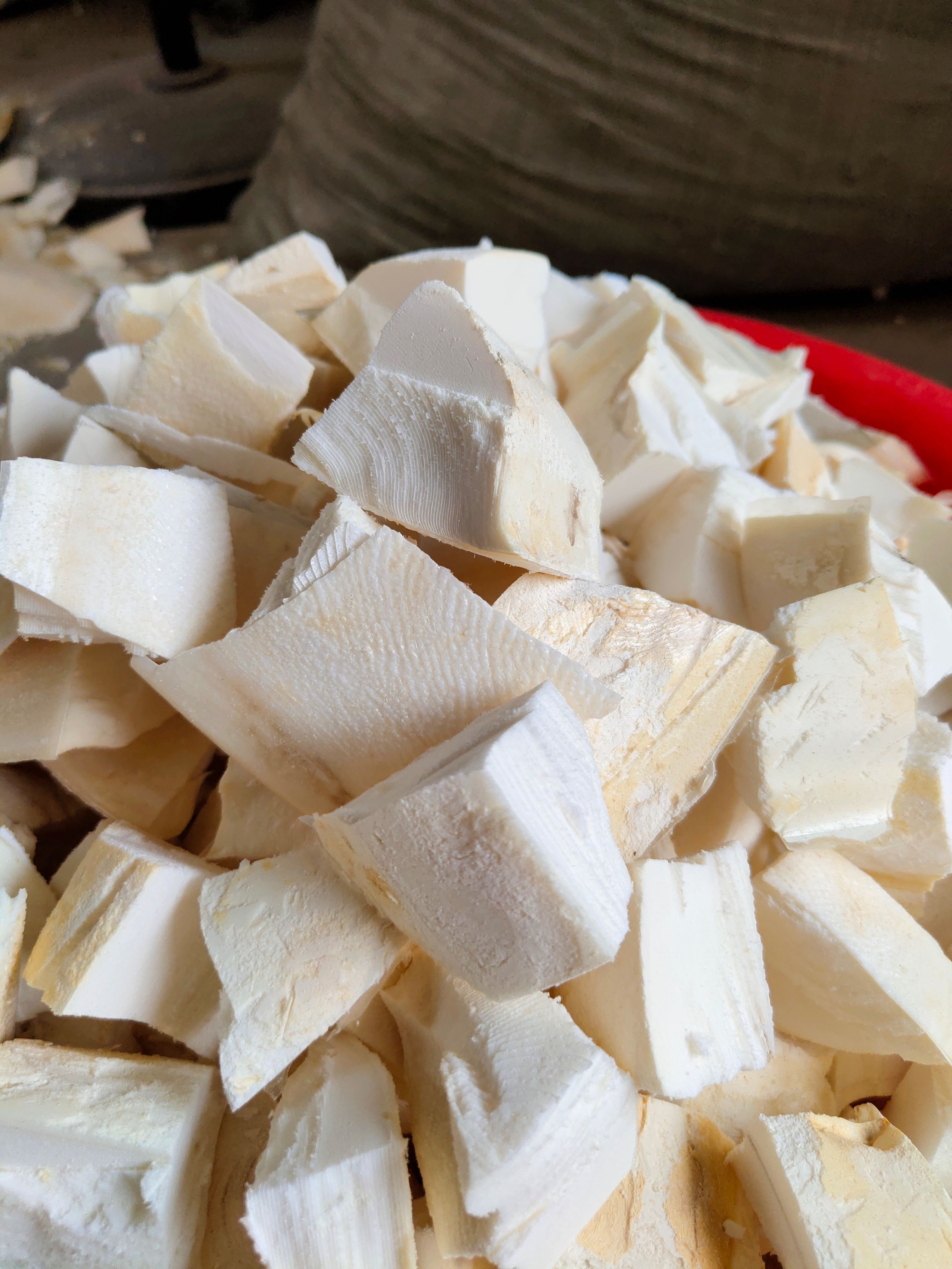 海螵蛸粒  精品烤干本地货(包邮) 3斤起批发  量大从优