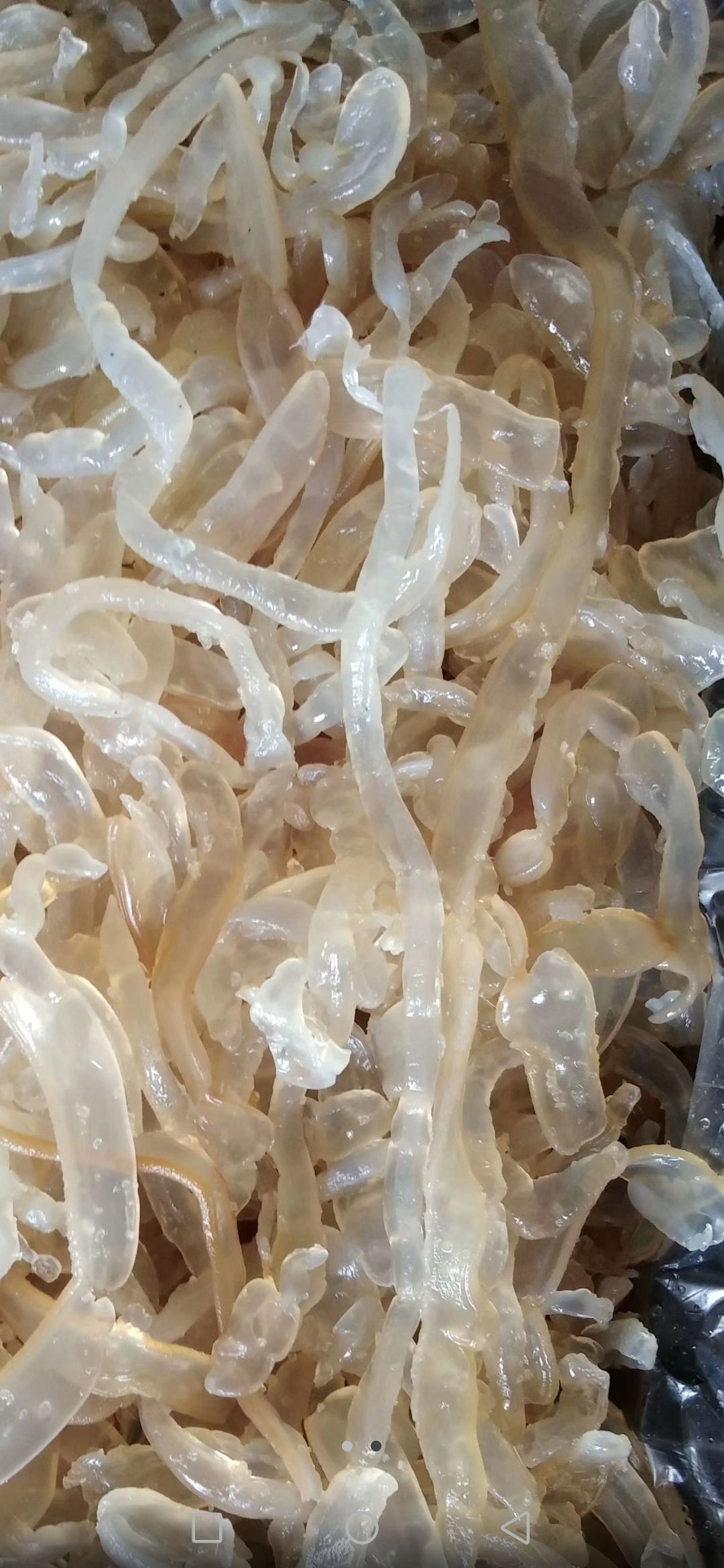 海蜇丝