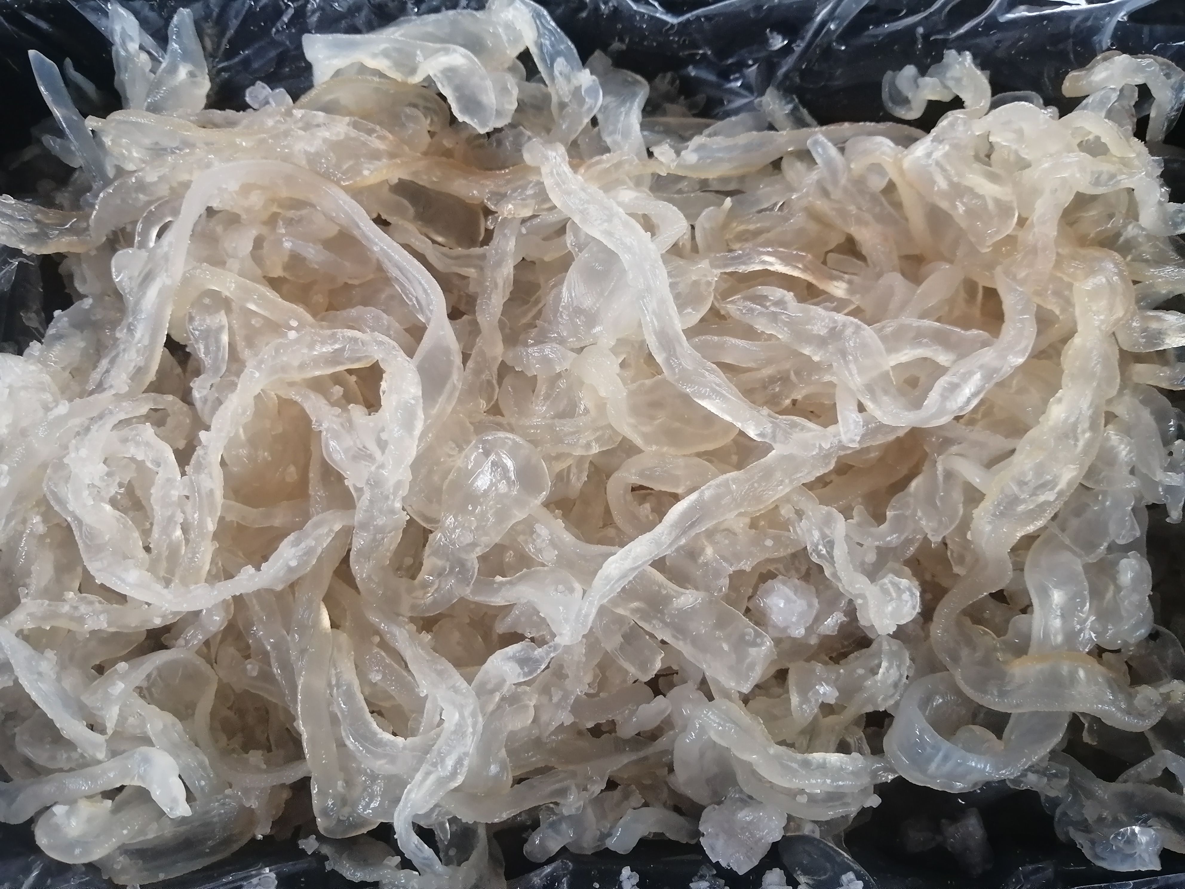 海蜇丝