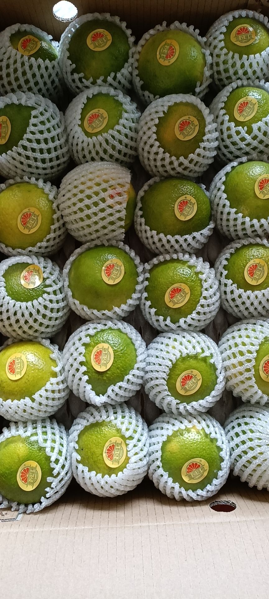 绿橙 海南澄迈福橙富硒珍品