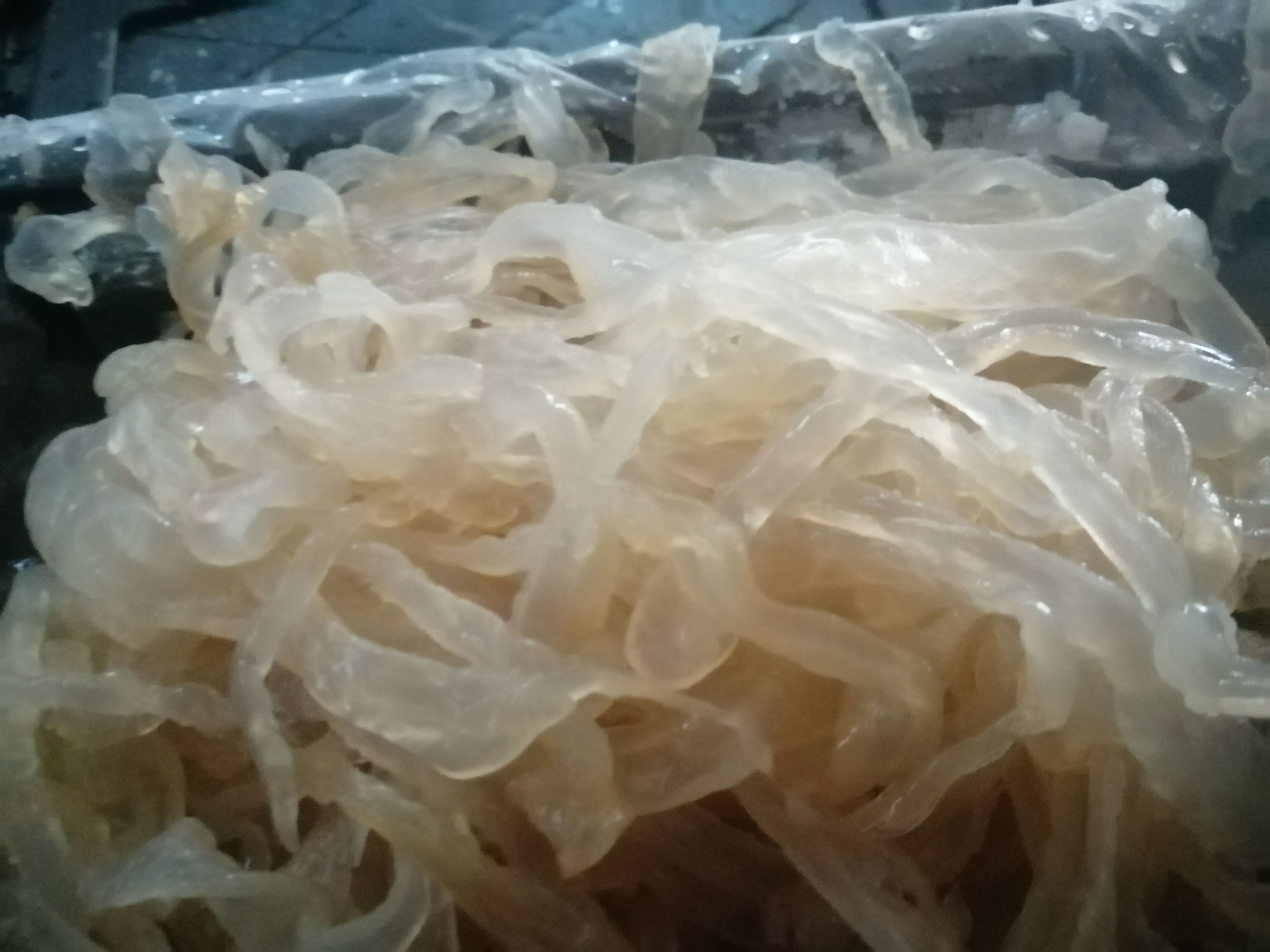 海蜇丝