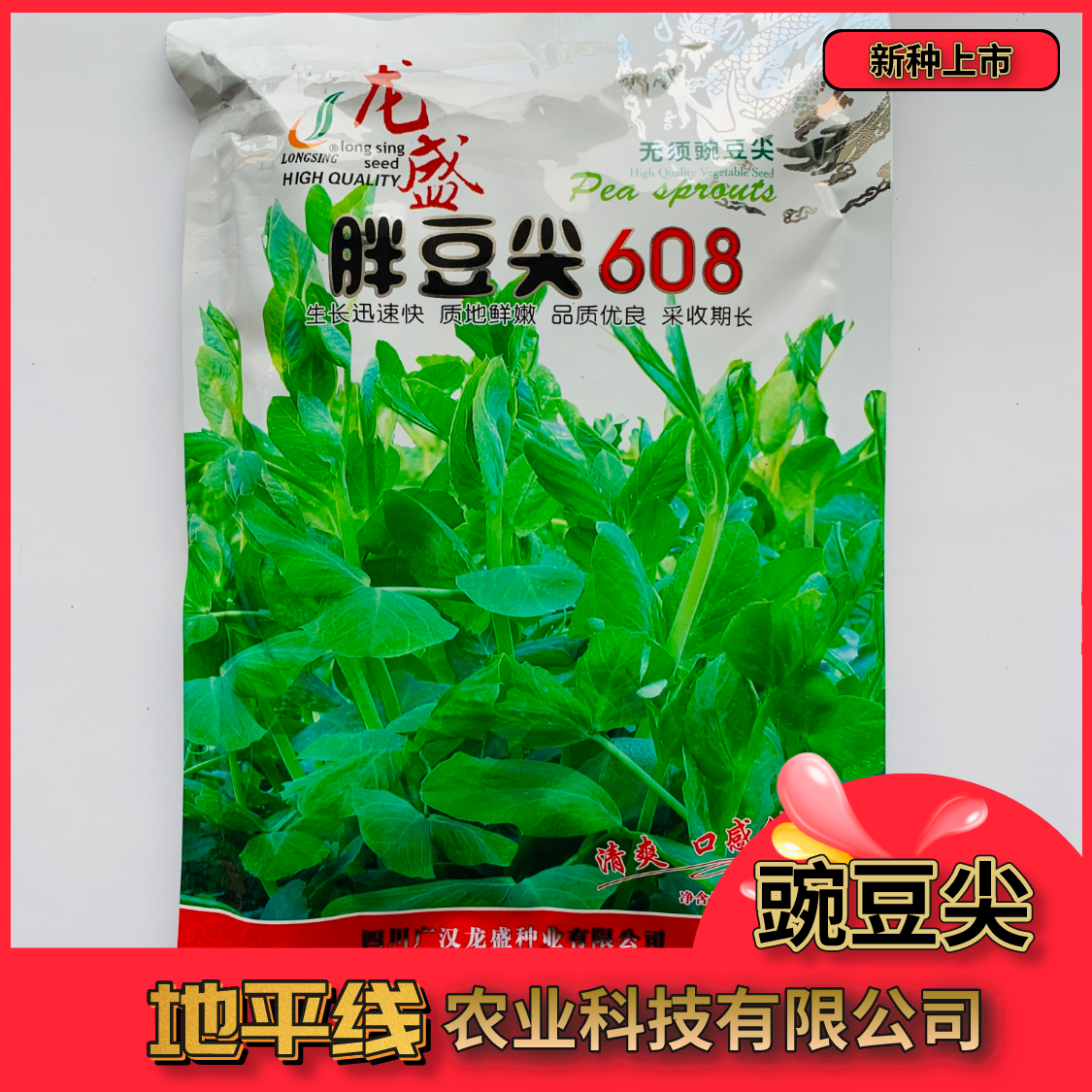 沭阳县豆瓣菜种子四川豌豆尖种子无须豌豆苗豌豆荷兰豆芽苗菜秋豌豆种籽