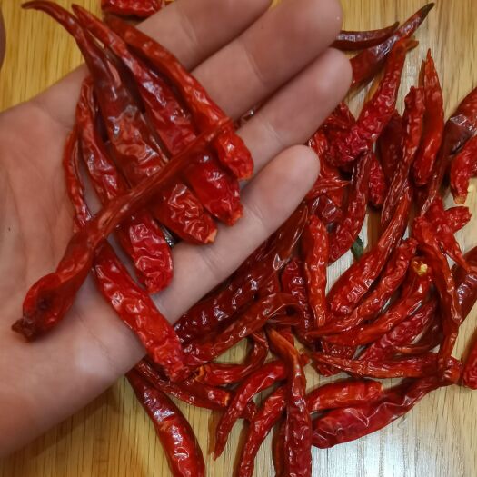 秦皇岛朝天椒干辣椒 干辣椒朝天椒