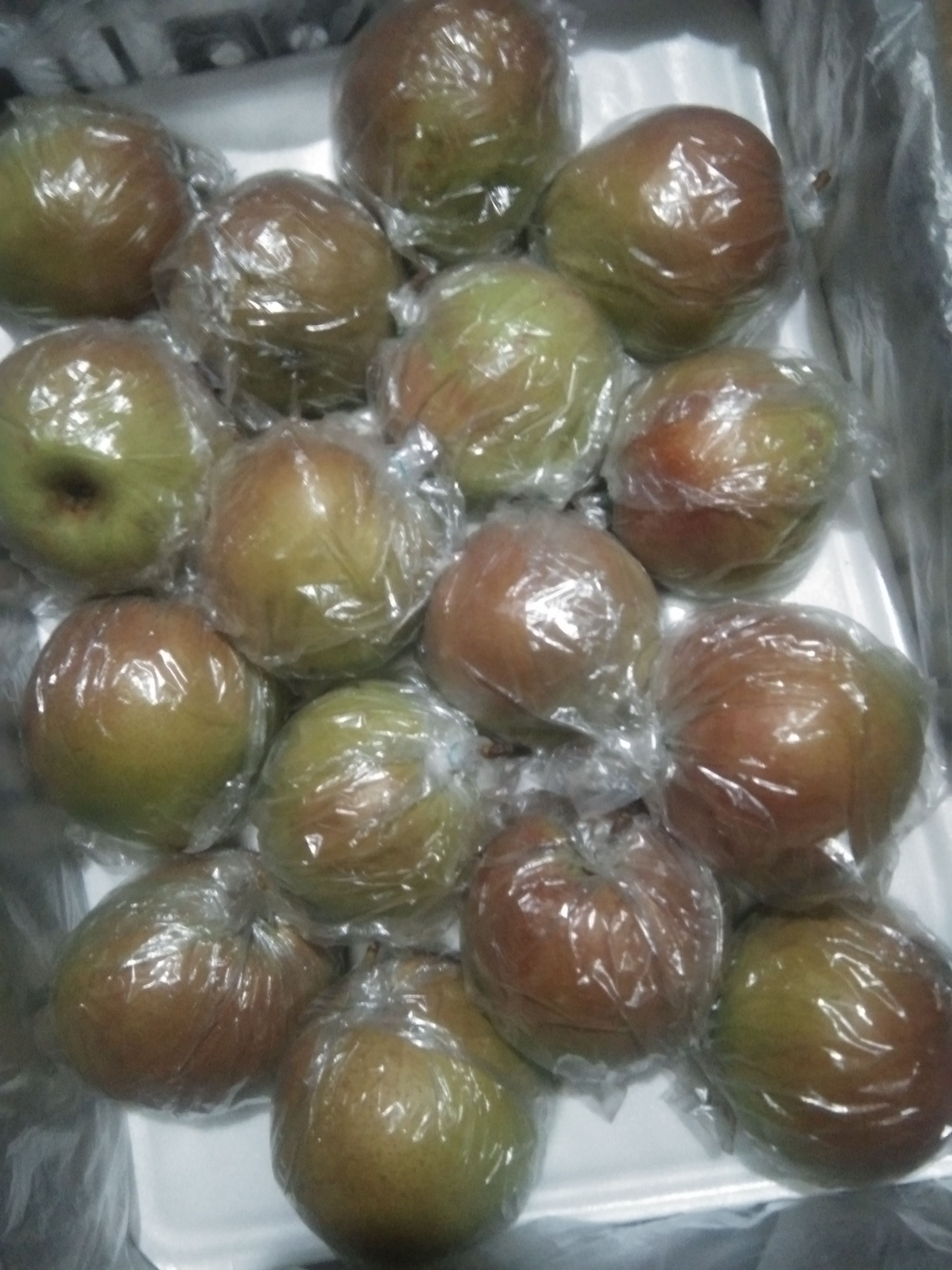  皇冠梨，雪花梨，水晶梨，红香酥梨，玉露香梨等，大量有货。