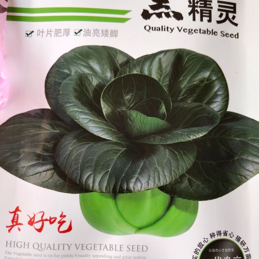 余干县黑叶白菜种子 黑精灵苏州青。一代杂交品种。耐寒，零下6度也能生长，墨绿色，