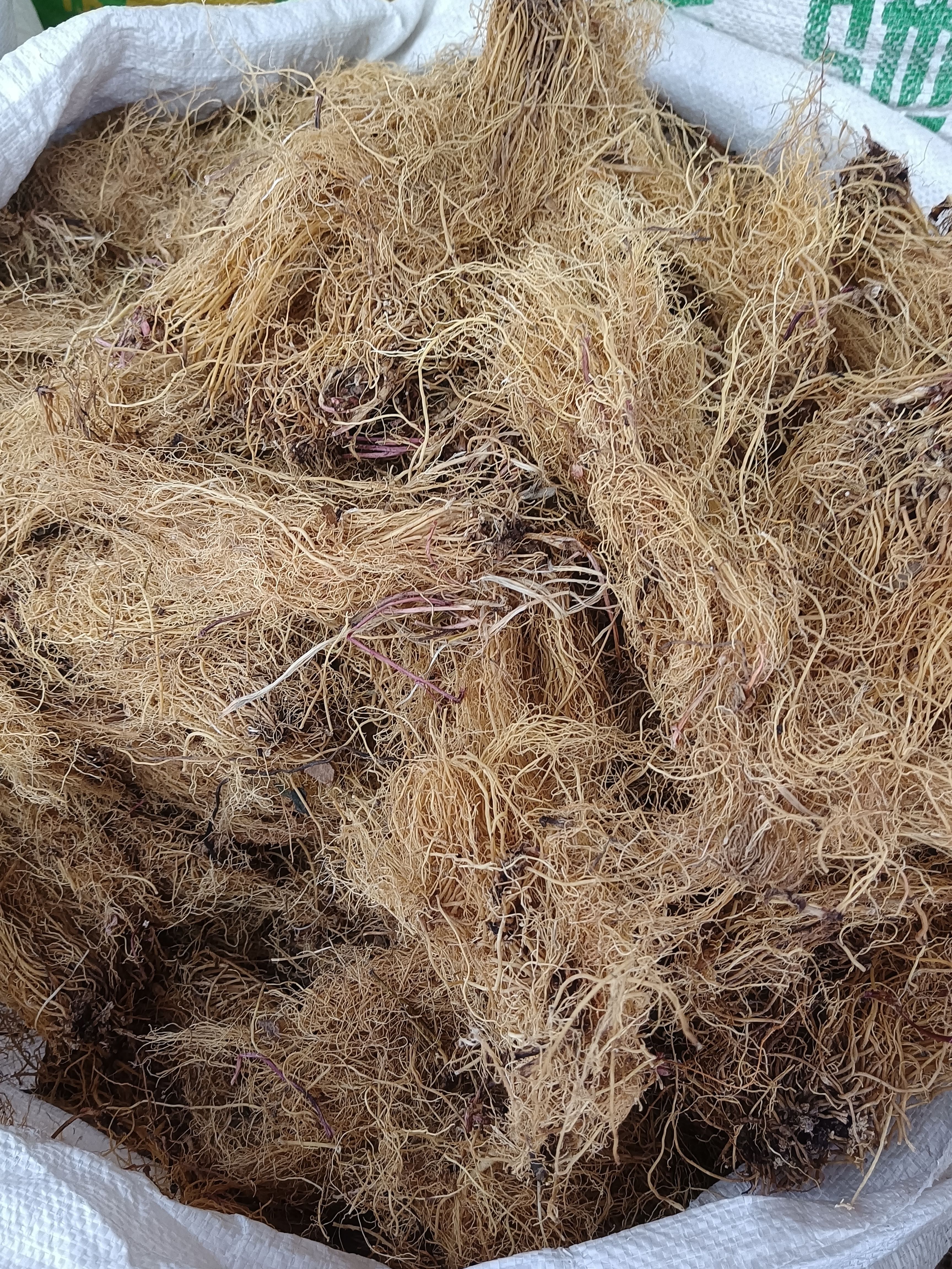 中药材统货细辛根细辛量大从优干品货