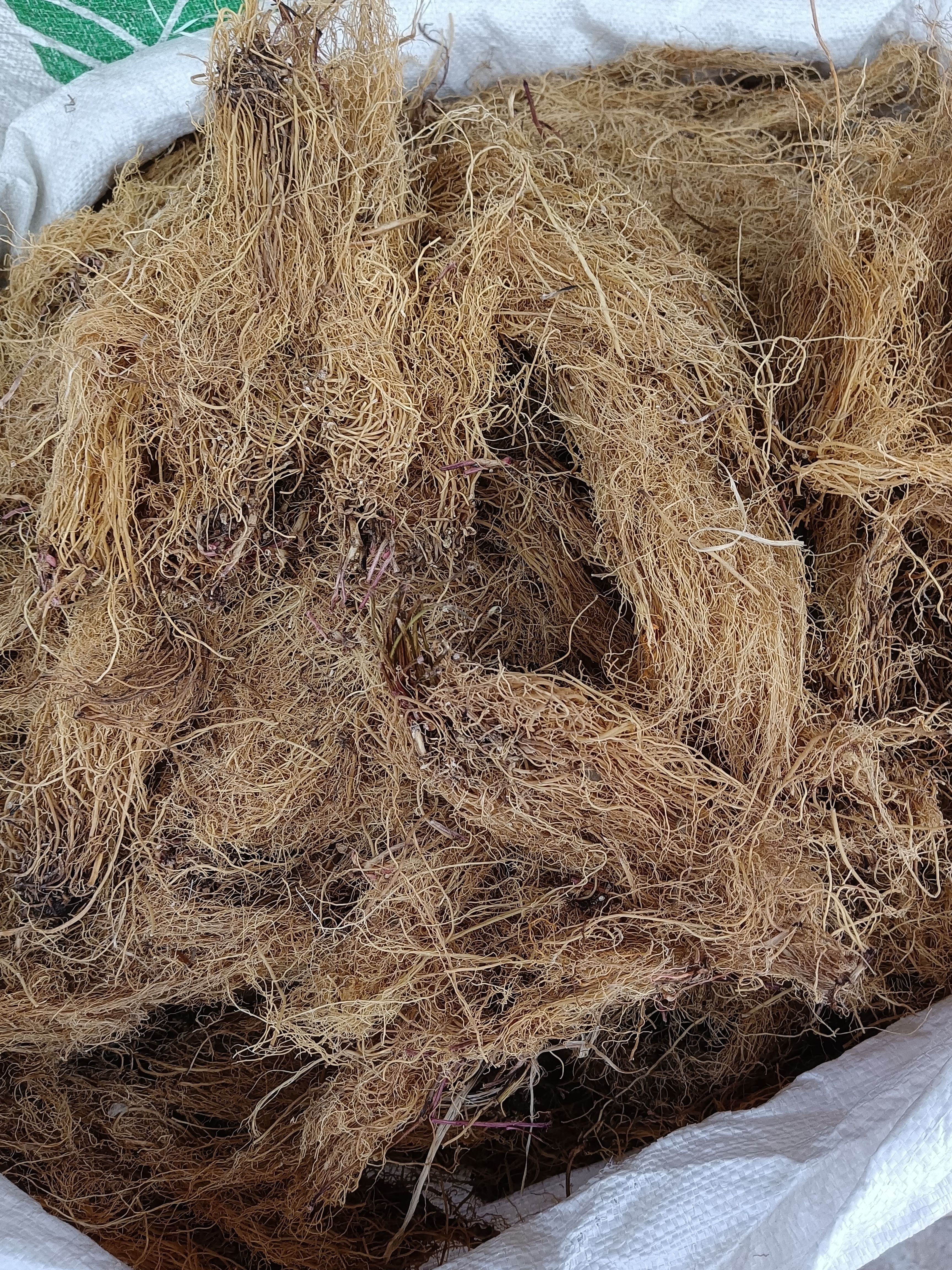 中药材统货细辛根细辛量大从优干品货