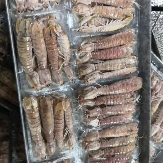 北海 皮皮虾，，，，，，，，，，，，，，，，，，，，，，，，，，，