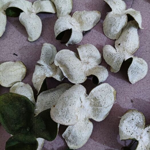 平南县陈皮  青皮，味辛苦，气芳香 二红皮味辛带苦略甜 大红皮味辛带苦略甜