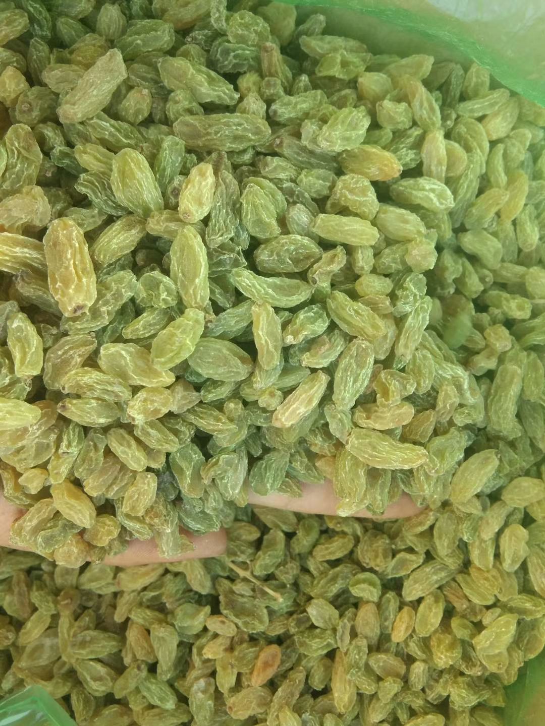 绿葡萄干  新疆土蕃葡萄干绿香妃葡萄干 大绿香妃葡萄干 葡萄