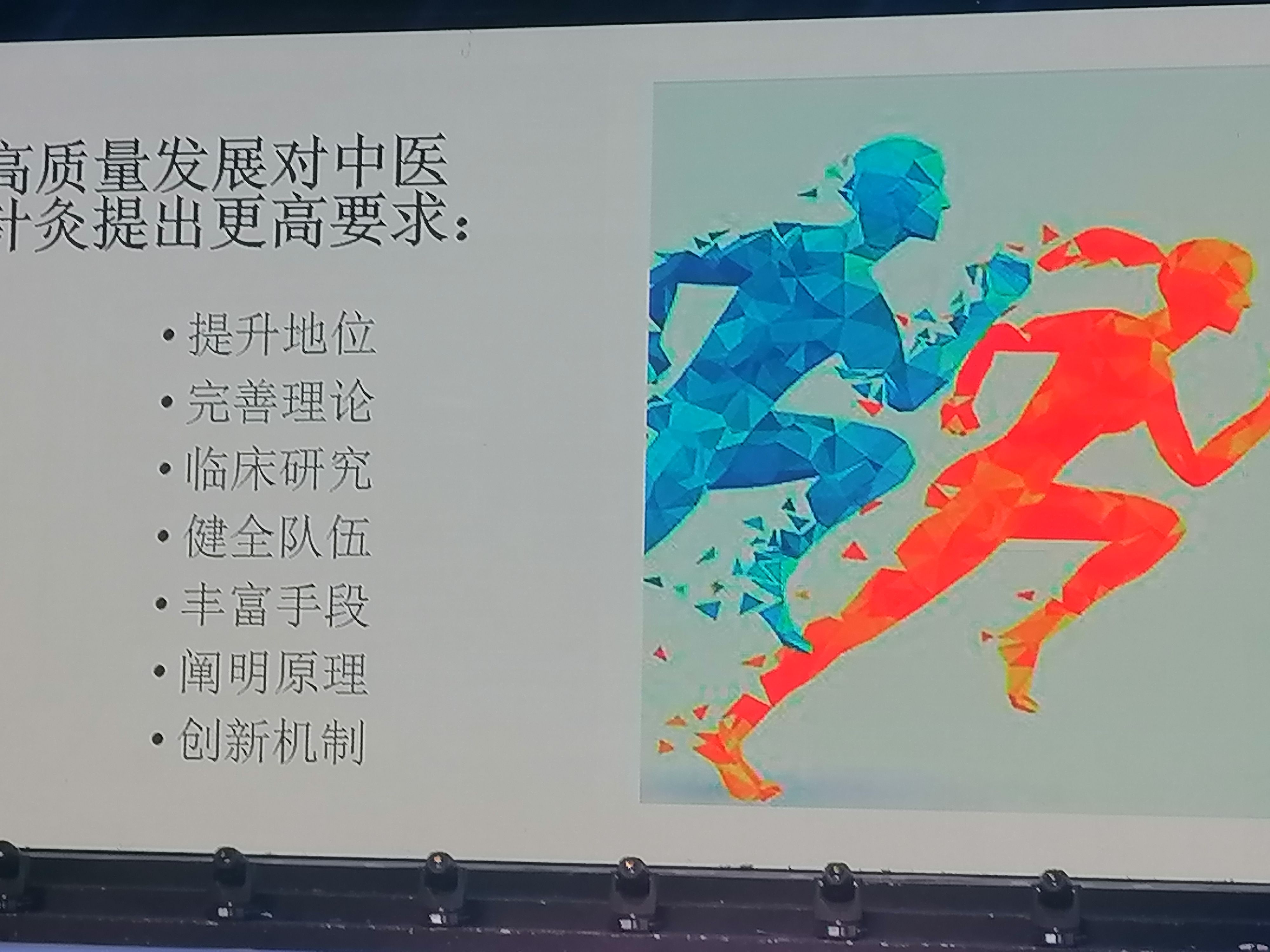 艾草种子食用驱蚊草艾叶种籽野生大小叶艾蒿青蒿种植四季驱蚊