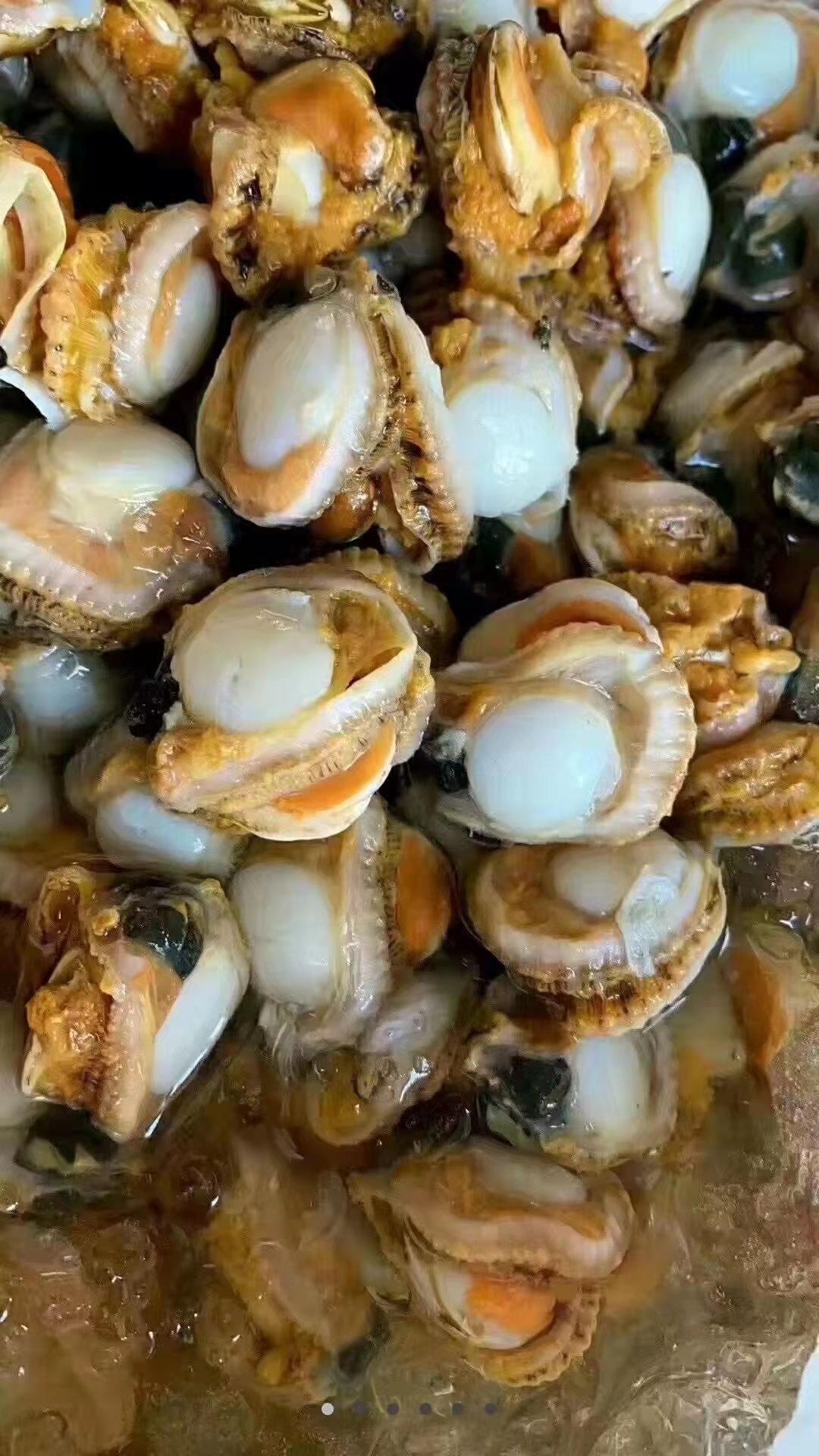 扇贝肉，精品单冻，肉质饱满，适合各种酒店饭店自助餐社区团购