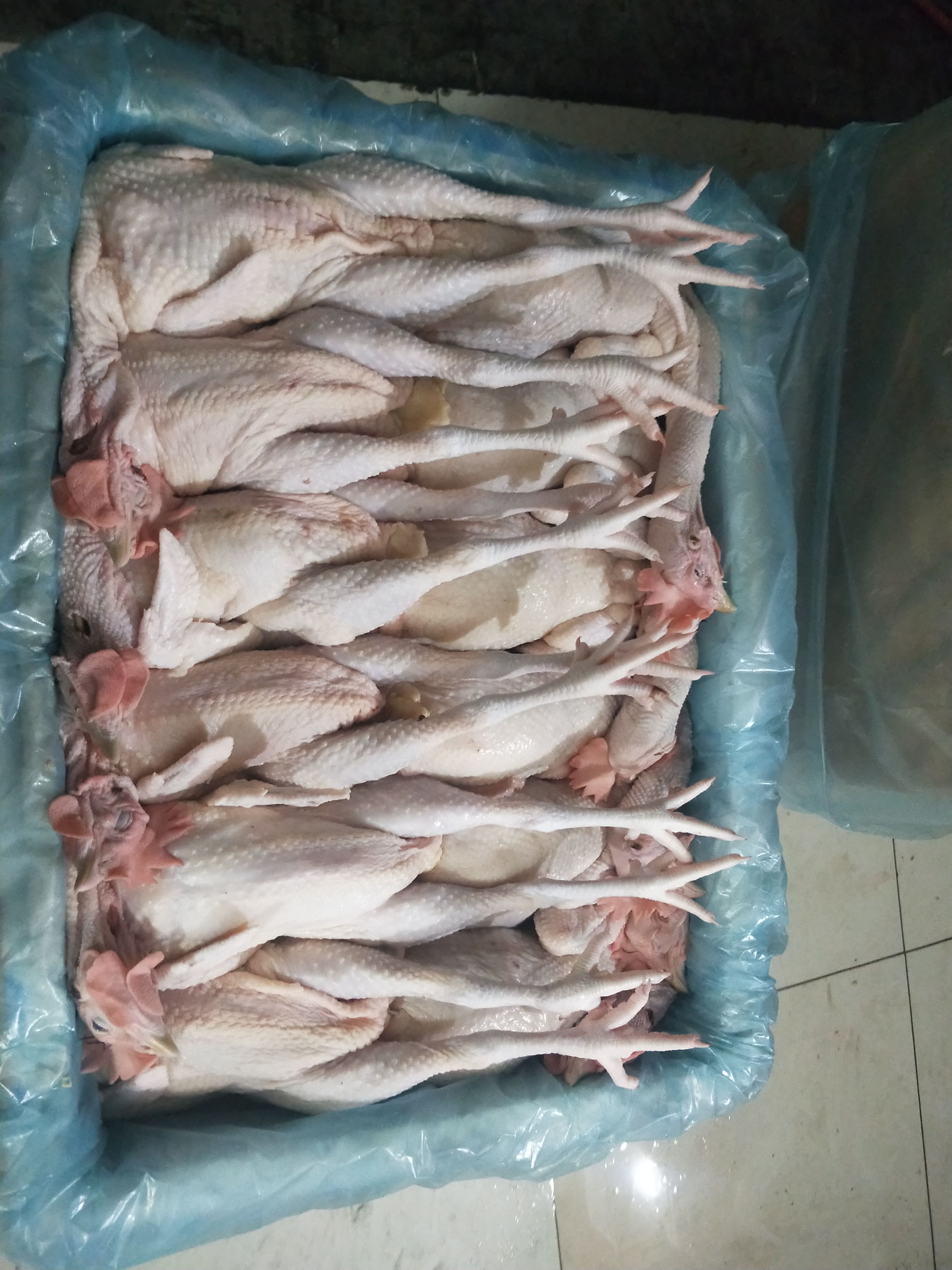 鸡肉类 新鲜鸡肉现杀现发