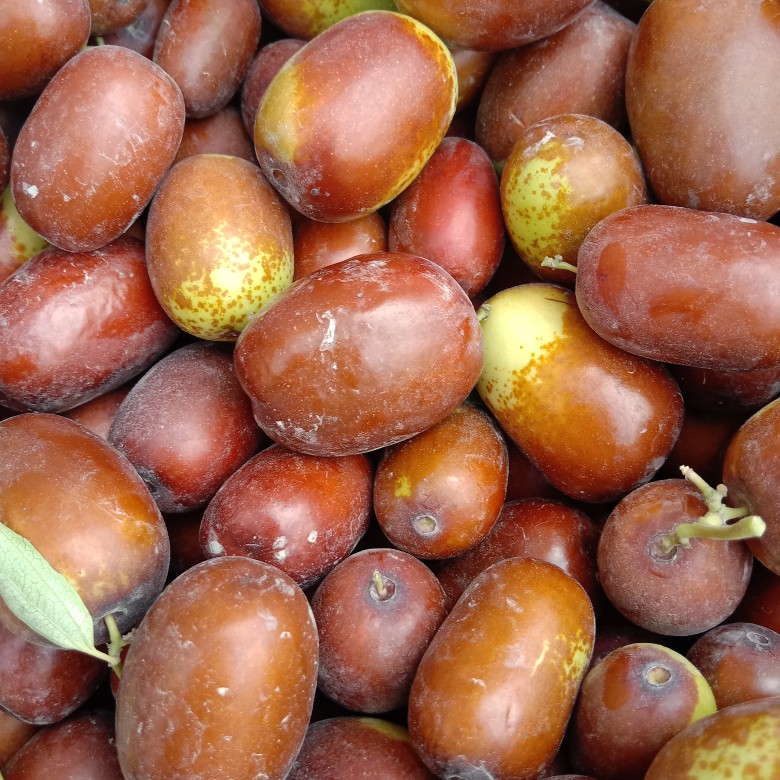 新疆阿克苏鲜灰枣