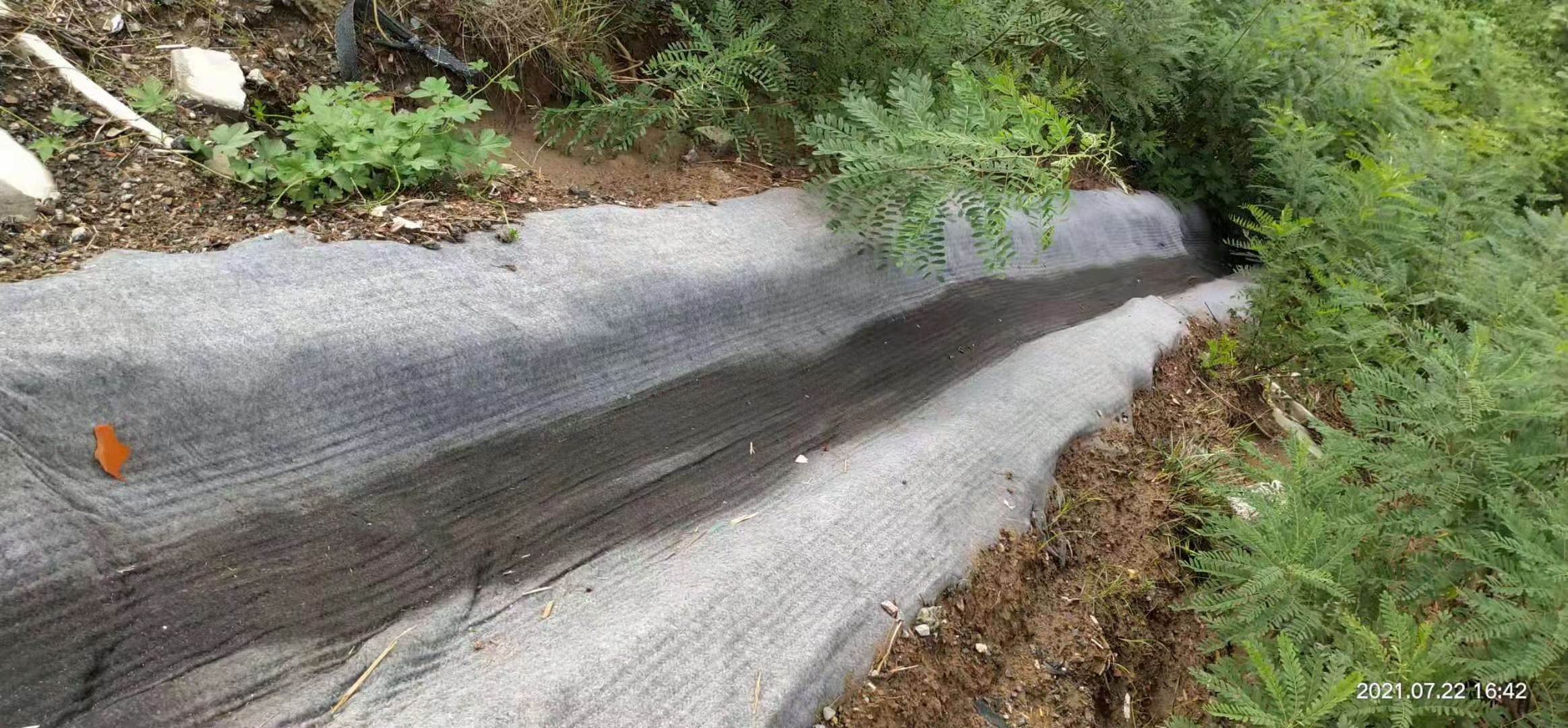  新型水泥毯    施工方便  浇水即用