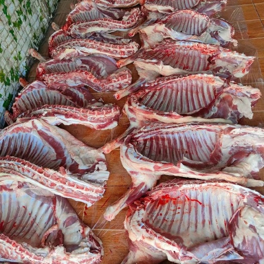 兰州羊排 国产羊肉 带骨羊肉 生肉 羊肉块 