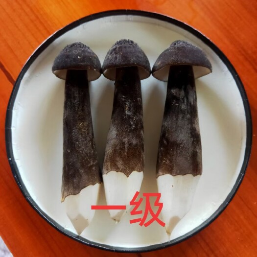 江华县黑皮鸡枞菌