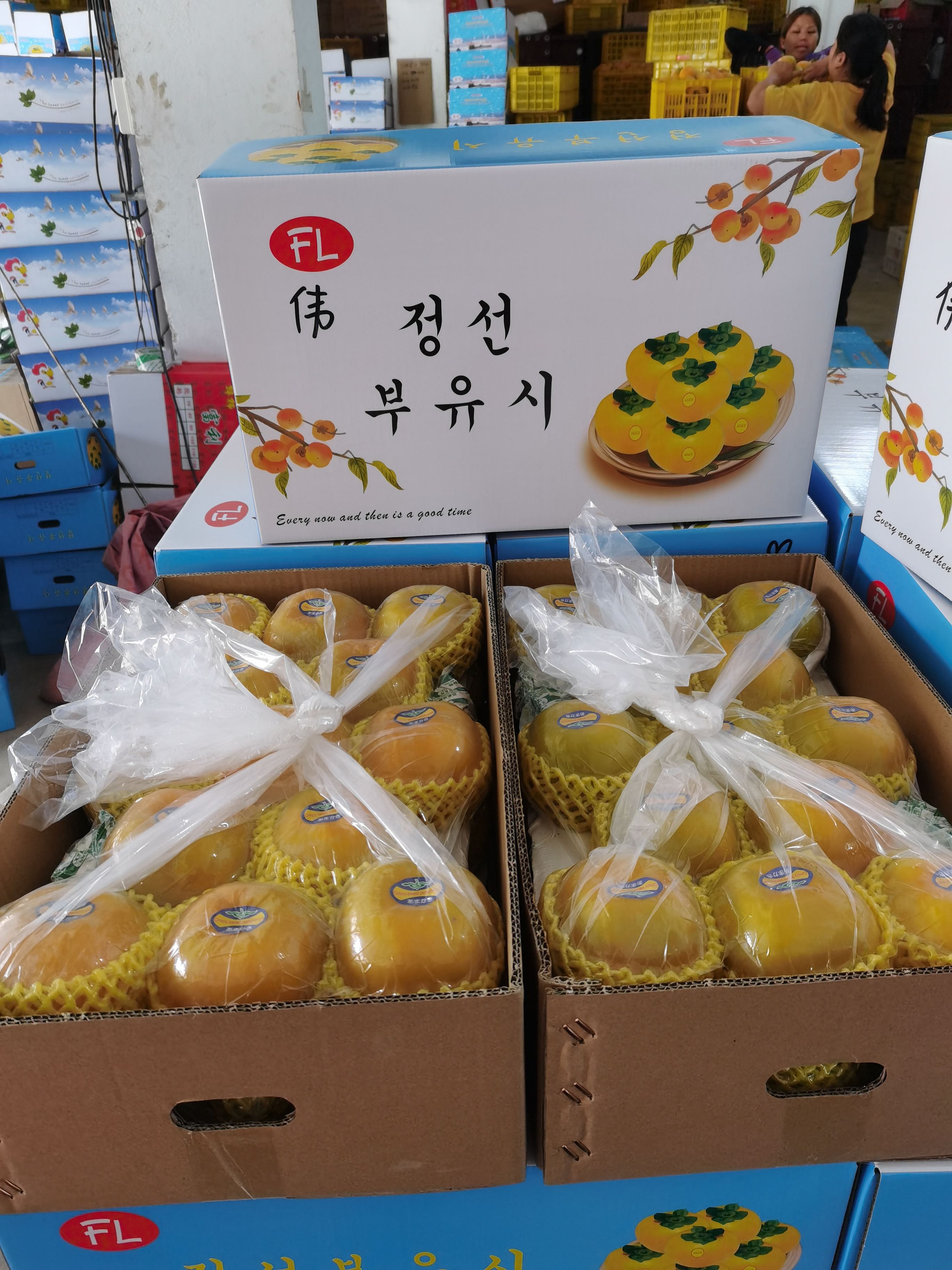 甜心柿  广西巧克力脆柿