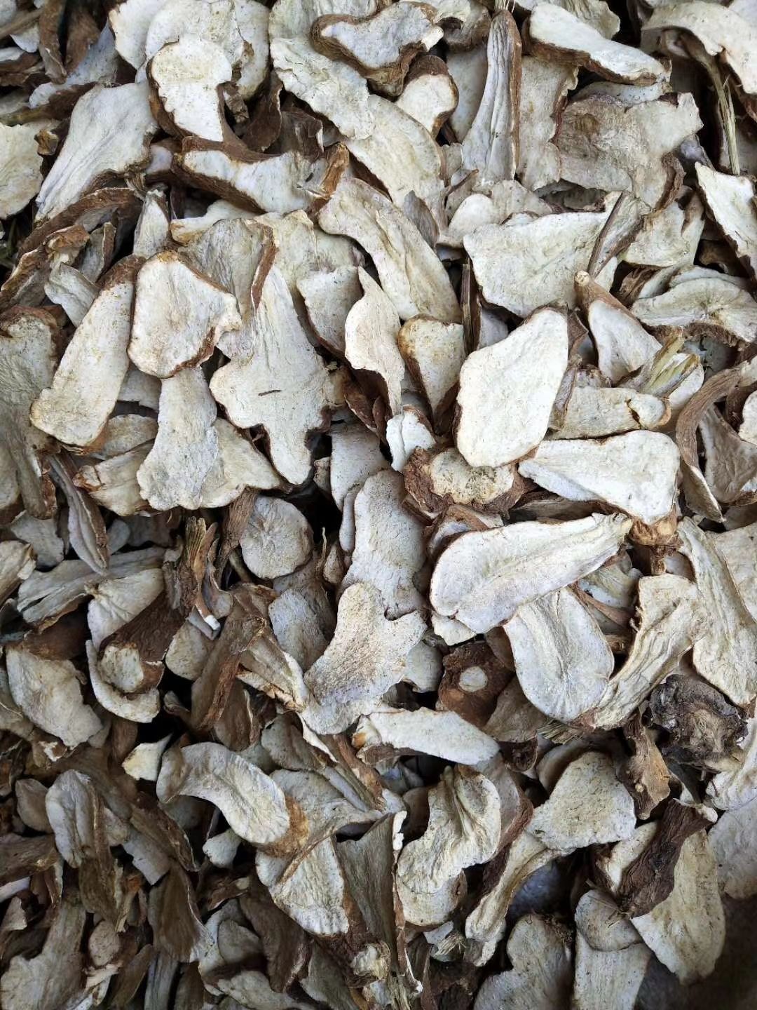 生白术  白术秧苗、种子、个、片