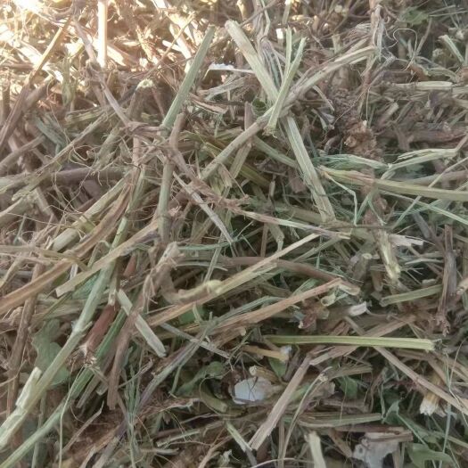 唐河县 今天开新垛，花生秧草料，无土，无膜，无霉变