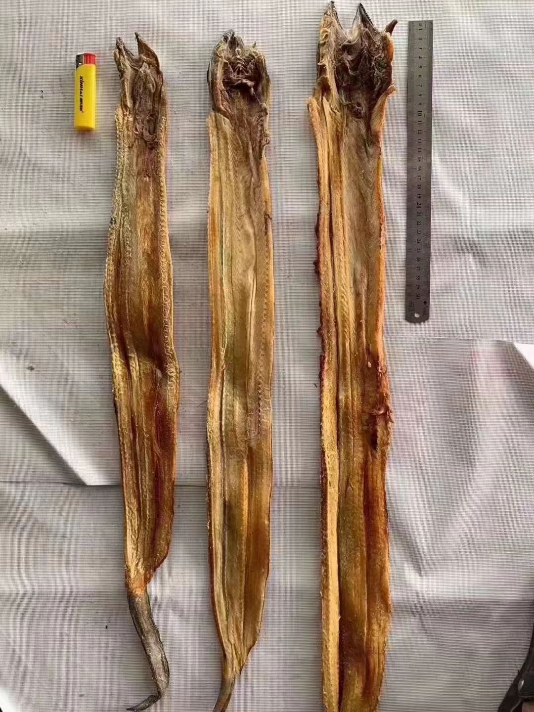 鳗鱼干  深海鱼  少刺肉厚