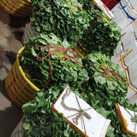 汕头芥蓝  蘑菇芥兰，酒楼供应