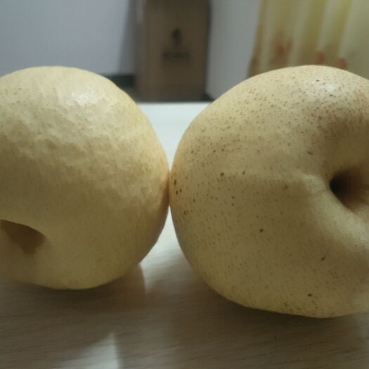 运城 山西运城酥梨