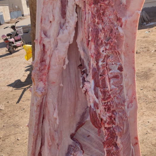 草原黑猪肉5斤包邮 现宰现分割 肉质瘦香内蒙古杭锦后旗草原