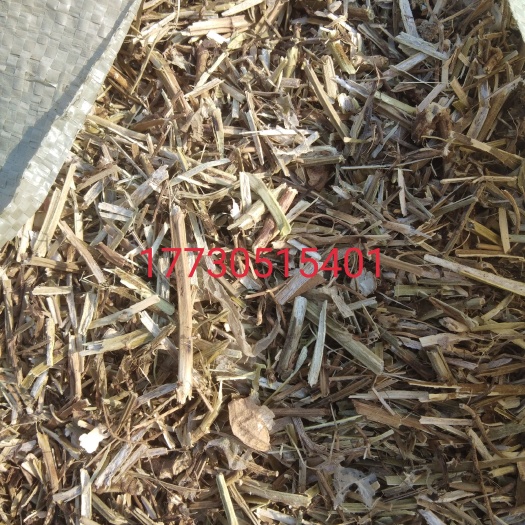 滦州市新出的无土无膜精选花生秧，质优价廉，欢迎各位老板订购
