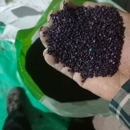 喀喇沁旗 黄芪种子