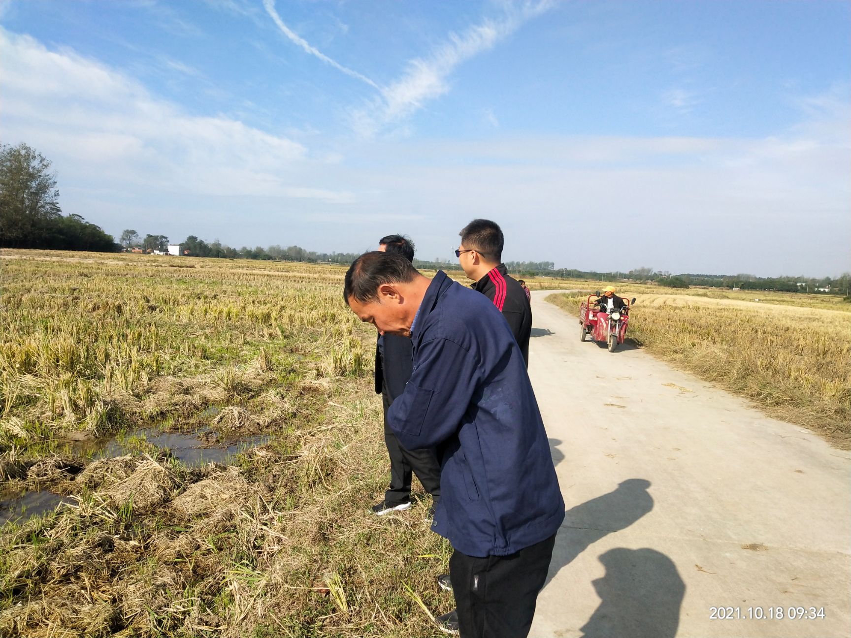 水浇地  土地好，适合农业开发，连片，水源好，道路通