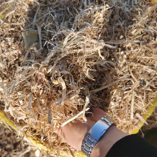 公主岭市 2021玉米秸秆柔丝细碎草捆，无尘，无土无膜无水管，无霉变。