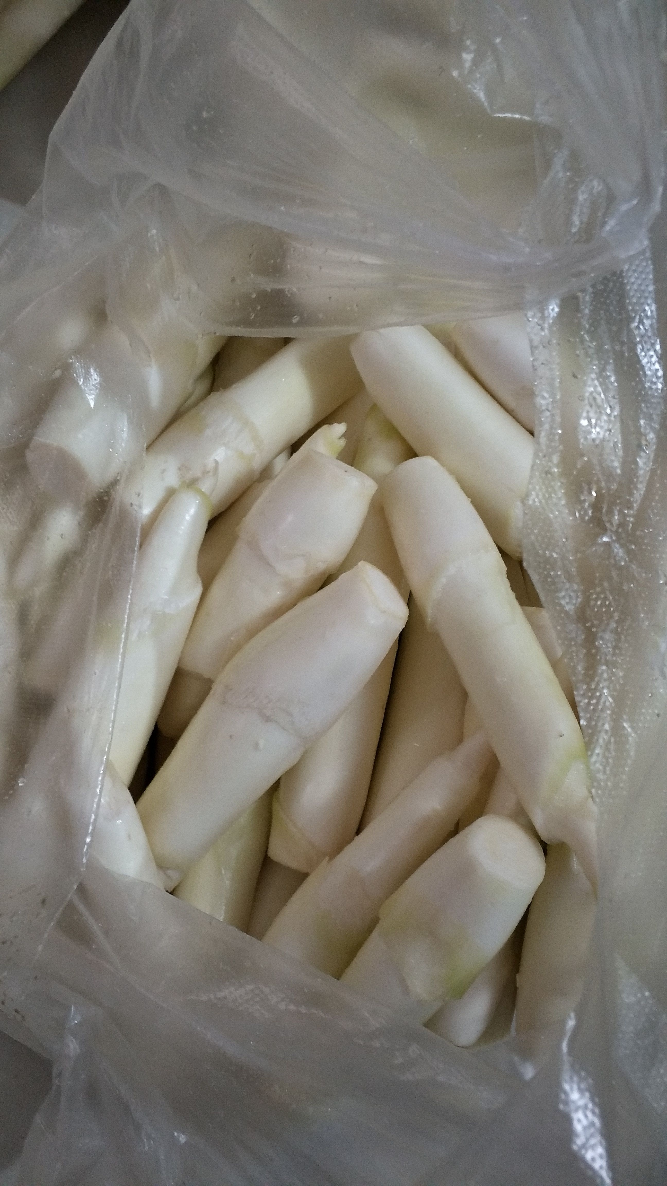 茭白种苗  大量供应老品种早熟双季茭白老墩苗