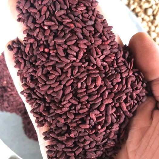 红米  红曲米 古田天然发酵红曲米 各种香辛料中药材批发