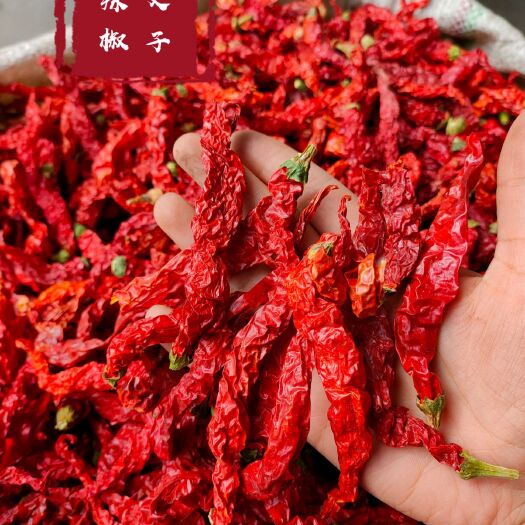 成都干线椒 2024新货线椒上市！新疆纵椒线椒皱椒二荆条微辣增香
