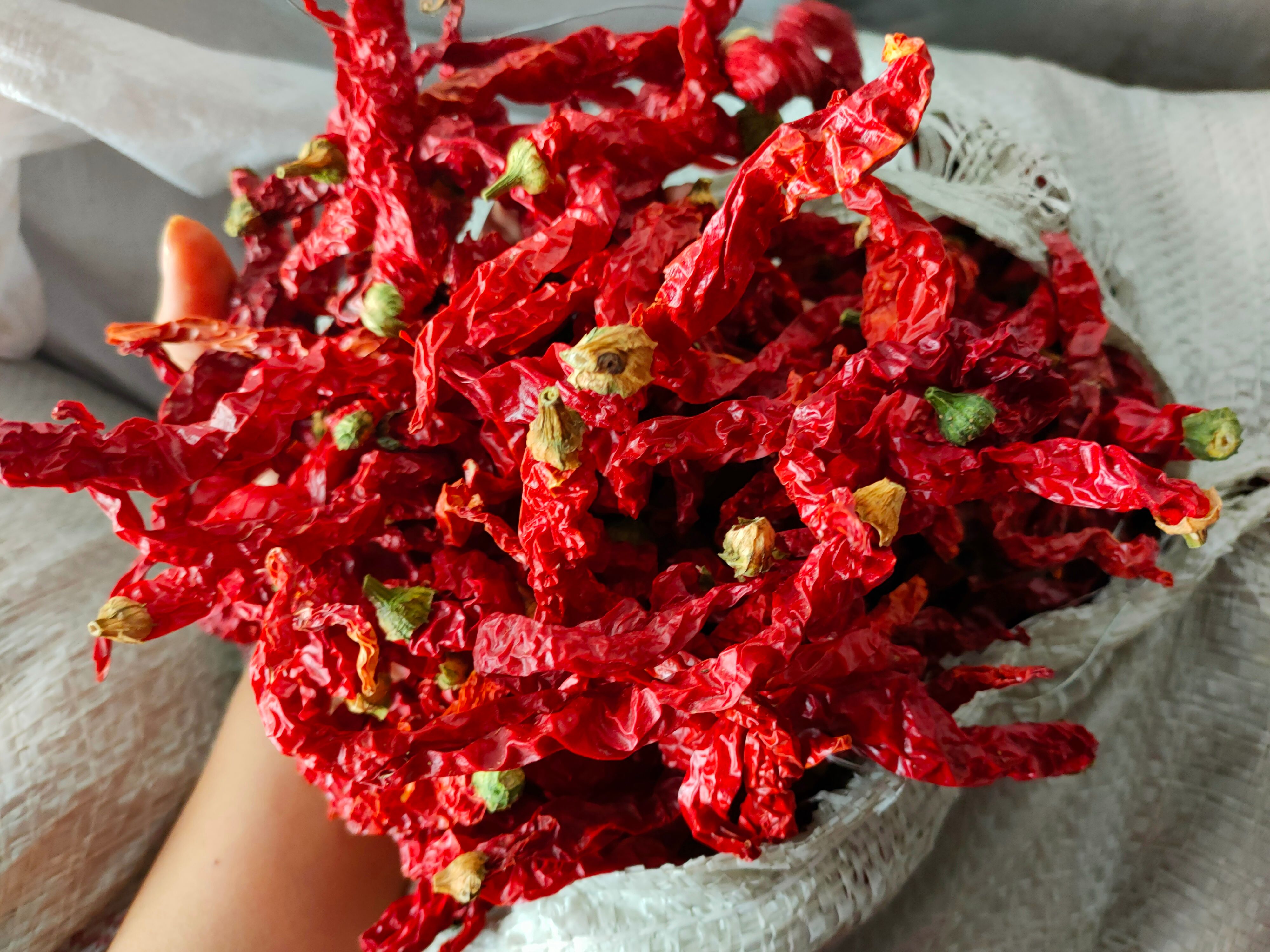 新疆线椒邹皮椒二荆条辣椒面新货上通货