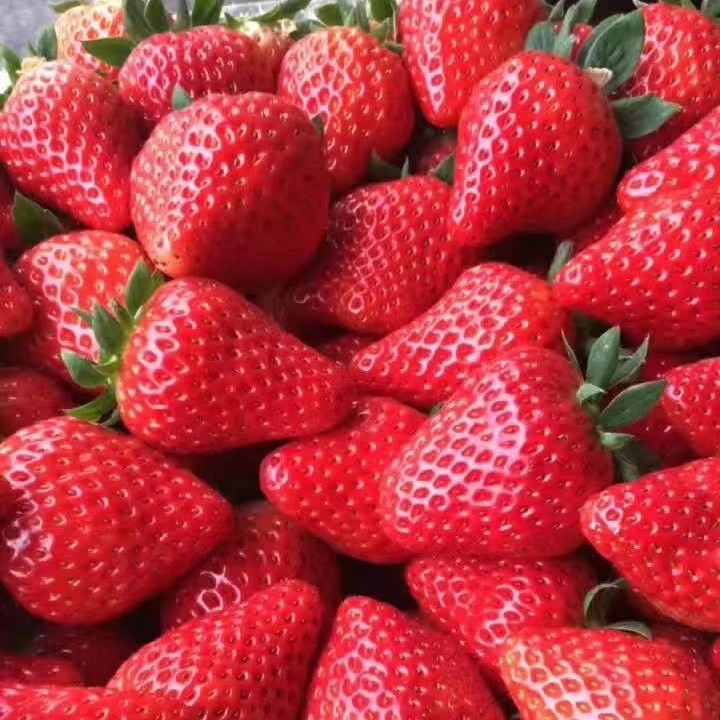  奶油草莓，让你吃的放心