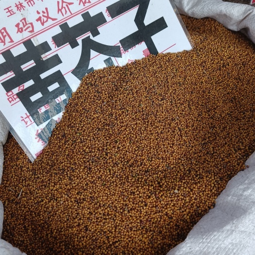 玉林白芥子量大从优别名黄芥子干货价格优美